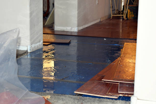 Professional Burst Pipe Cleanup technician working in Harrisville, NH